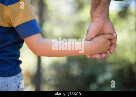 Mid section of boy holding fathers hand in forest Stock Photo