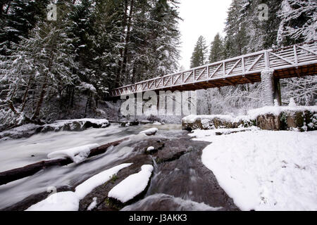 An elegant narrow pedestrian bridge with high rails through a mountain stream in wild, snow-covered forest is an excellent place for healthy walking Stock Photo