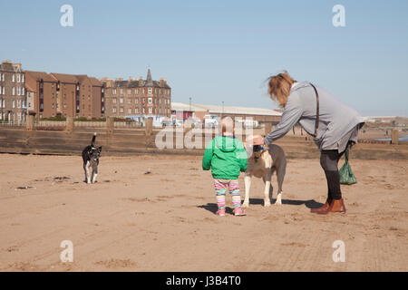 Portobello beach, Edinburgh, UK. 5th May, 2017. Portobello beach on a lovely sunny day in Edinburgh, Scotland. Weather: 5 May 2017 It will be a fine dry day with long sunny spells for most of the region, with just the chance of some cloud pushing in to Berwickshire and East Lothian. Warm inland, west. Moderate east winds.  Tonight Clear across Dumfries and Galloway. Some low cloud will form overnight across the Lothians and eastern Borders. Chilly inland with a touch of frost in shelter. Credit: Gabriela Antosova/Alamy Live News Stock Photo