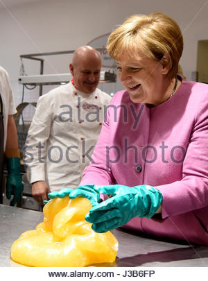 Eckernforde, Germany. 05th May, 2017. German Chancellor Angela Merkel handles dough for lemon sweets in a candy factory before a CDU campaign event in in Eckernforde, Germany, 05 May 2017. A new Landtag (state parliament) will be chosen in Schleswig-Holstein 07 May 2017. Photo: Carsten Rehder/dpa/Alamy Live News Stock Photo