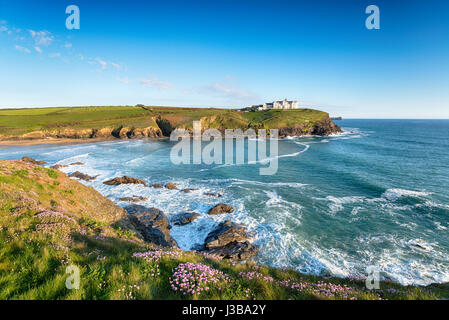 Summer on cliffs above Poldhu Cove near Mullion on the Cornish coast Stock Photo