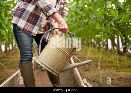 senior woman with watering can at farm greenhouse Stock Photo