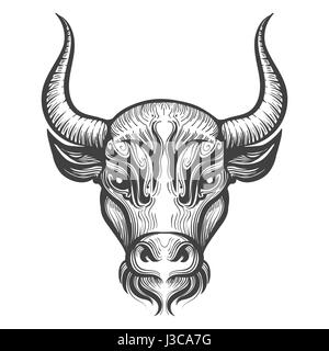 Bull Head engraving illustration. Signs of the zodiac.Taurus astrological sign. Vector illustration isolated on a white background.