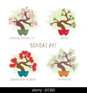 Vector illustration of Bonsai Tree . Picture isolated on white.   All objects are conveniently grouped and easily editable Stock Vector