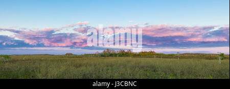 Colorful pink clouds over grasslands at sunset in Everglades National Park FLorida Stock Photo