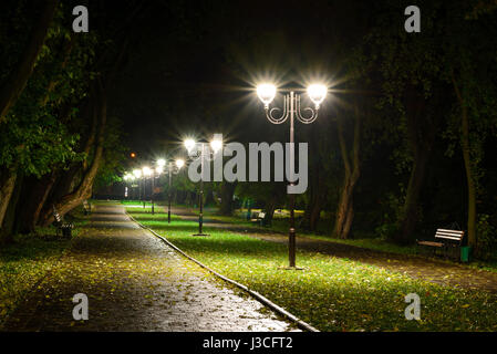 Park night lanterns lamps: a view of a alley walkway, pathway in a park with trees and dark sky as a background at an summer evening. Stock Photo