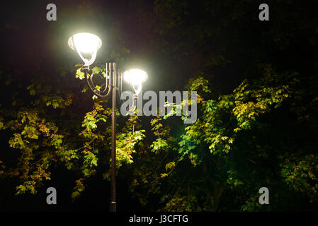 Park night lanterns lamps: a view of a alley walkway, pathway in a park with trees and dark sky as a background at an summer evening. Stock Photo