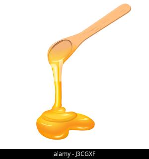 Sweet golden honey drippling from spoon Stock Vector