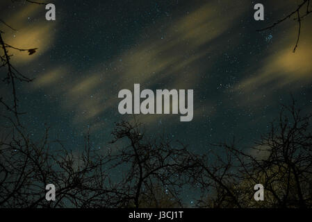 Clouds passing in the moon light by over a forest and on a night sky full of stars. Stock Photo
