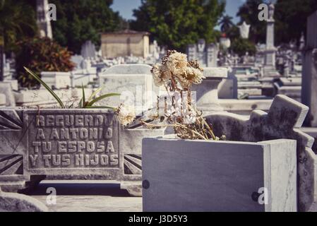 The Colon Cemetery, or the Cementerio de Cristóbal Colón, was founded in 1876 in the Vedado neighbourhood of Havana Cuba. Stock Photo