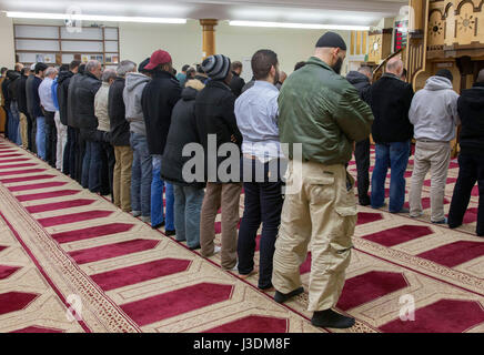 Friday prayer in the Berlin Mosque Stock Photo