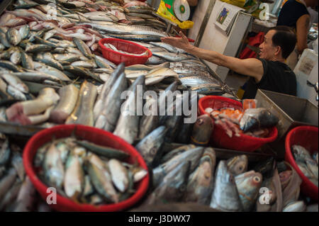 Singapore, Republic of Singapore, Asia, A fish monger at the Tekka Market Stock Photo
