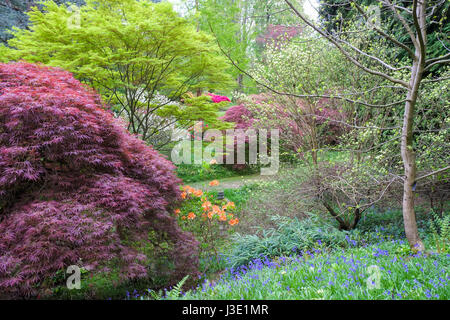 Spring flowers in an English country garden Stock Photo