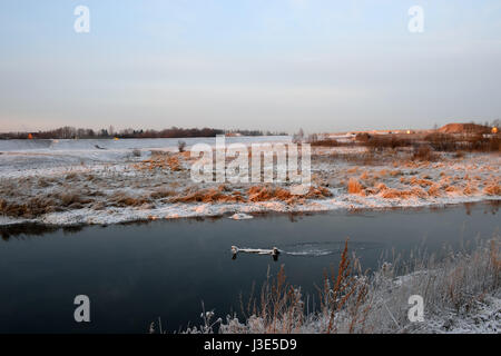 River dry grass in the crystals of snow on the banks of a winter evening on zacateros Stock Photo