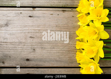 Yellow daffodils on wooden table Stock Photo