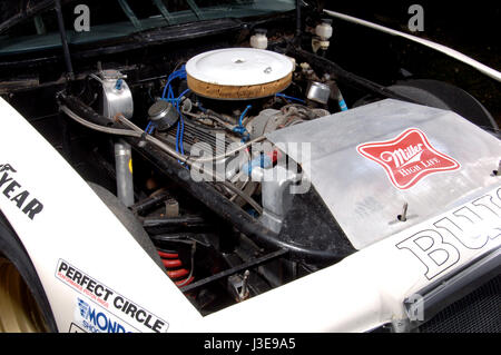 Bobby Allison's 1983 Nascar #22 Buick Stock Photo