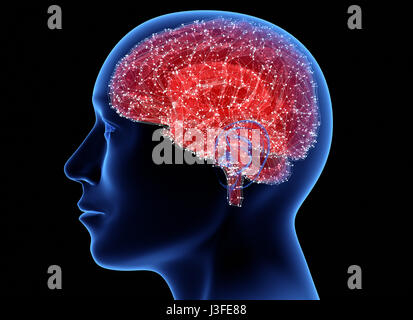 Man head with brain. 3D illustration Stock Photo