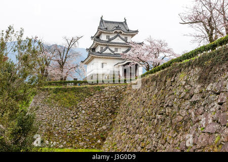 Japan, Ehime, Uwajima castle, AKA Tsurushima-jo. Main keep, tenshu, Sotogata style, and honmaru ishigaki walls. Stock Photo