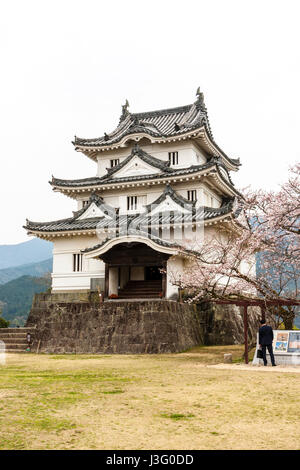 Japan, Ehime, Uwajima castle, AKA Tsurushima-jo. Main keep, tenshu, Sotogata style. Cherry blossom trees, overcast weather. Daytime. Stock Photo