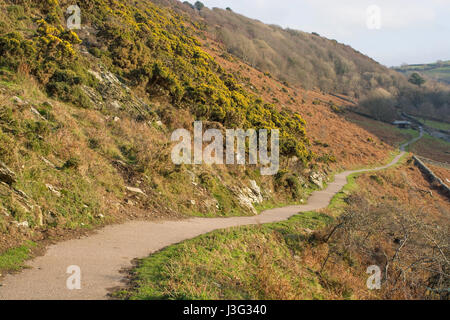 The Valley of the Rocks in Exmoor National Park near Lynton, North Devon, England. Path leading up to the cliffs and coast Stock Photo