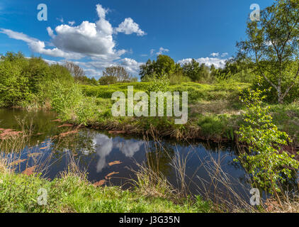 A view of the countryside at Paddington Meadows in Warrington Stock Photo