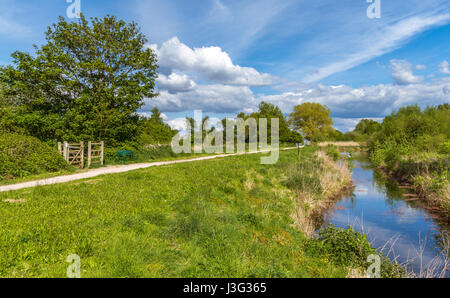 A view of the countryside at Paddington Meadows in Warrington Stock Photo