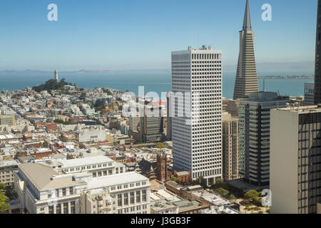 San Francisco skyline as seen from rooftop perspective in downtown. TransAmerica Pyramid on right of photo, Coit Tower and Alcatraz island in distance Stock Photo