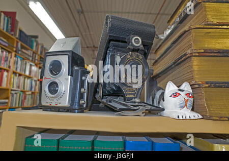 Old cameras on display at the Chequamegon Book & Coffee Company bookstore with porcelain kitty. Washburn Wisconsin WI USA Stock Photo