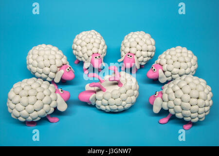 Concept - A group of white sheep gather in a circle around a single white sheep, lying on its back Stock Photo