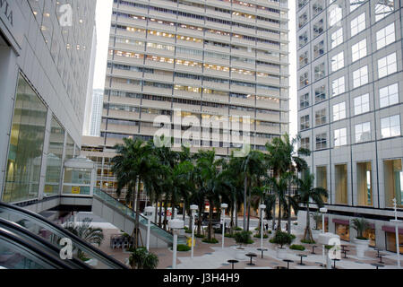 Miami Florida,Southeast Financial Center,Southeast,centre,plaza,office building,glass,after hours,palm trees,tree,tables,courtyard,architecture FL0809 Stock Photo