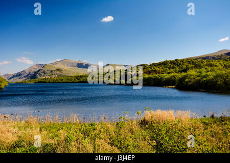 View of Snowdon with Crib Goch (Red Comb) on the left, Carnedd Ugain; Snowdon summit and Moel Cynghorion to its right with Llyn Padarn in the forgroun Stock Photo