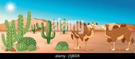Two camels standing in desert field illustration Stock Vector