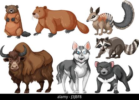 Many types of wild animals illustration Stock Vector