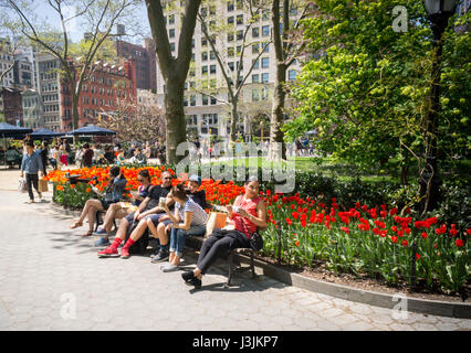 New Yorkers and visitors take advantage of the warm summer-like spring weather in Madison Square Park in New York on Friday, April 28, 2017. Temperatures are rising into the upper 70's, a taste of the summer to come. (© Richard B. Levine) Stock Photo