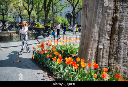New Yorkers and visitors take advantage of the warm summer-like spring weather in Madison Square Park in New York on Friday, April 28, 2017. Temperatures are rising into the upper 70's, a taste of the summer to come. (© Richard B. Levine) Stock Photo
