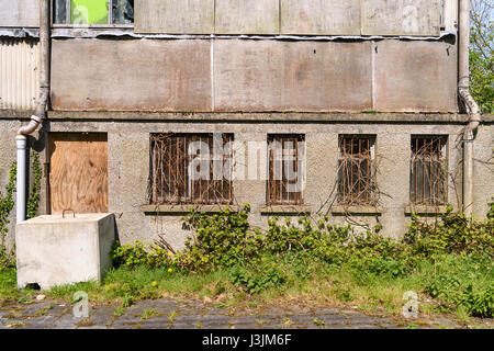 Windows and door off an overgrown, derelict factory Stock Photo