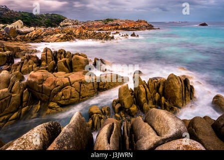 Bay of Fires Coastline in Mount William National Park, Tasmania Stock Photo