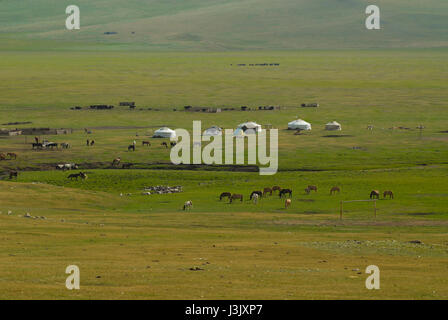 Yurts and horses in the steppe of Mongolia Stock Photo - Alamy