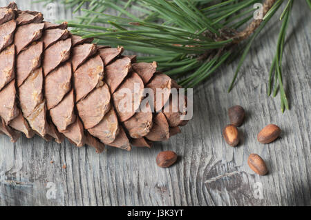 Cedar cone, nuts and needles close up shot Stock Photo
