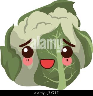 kawaii cauliflower vegetable fresh food image vector illustration Stock Vector