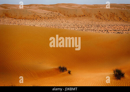 View across Wahiba Sands (Ramlat al Wahaybah) in Oman - Sharqiya Sands Stock Photo