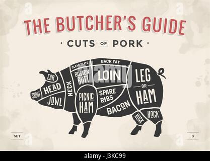 Pig head Butcher shop. Hand drawn sketch in a graphic style. Vintage ...