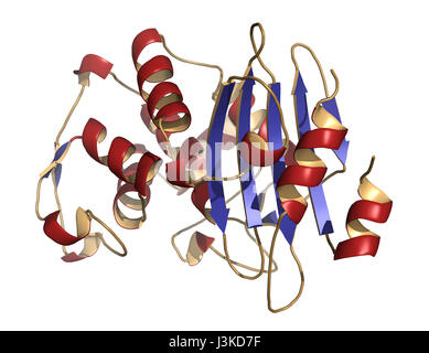 Beta-lactamase enzyme from Staphylococcus aureus. Responsible for resistance against penicillin and related antibiotics. Cartoon model, secondary stru Stock Photo