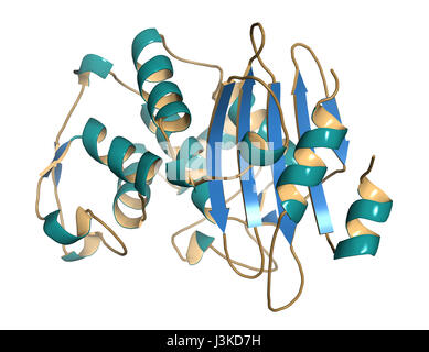 Beta-lactamase enzyme from Staphylococcus aureus. Responsible for resistance against penicillin and related antibiotics. Cartoon model, secondary stru Stock Photo