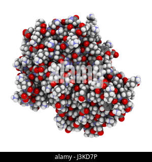 Beta-lactamase enzyme from Staphylococcus aureus. Responsible for resistance against penicillin and related antibiotics. Atoms shown as color-coded sp Stock Photo