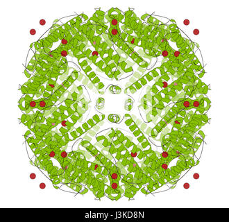 Ferritin (apoferritin) protein. Ferritin is the main iron storage protein in humans. Serum ferritin correlates with amount of iron present in the body Stock Photo