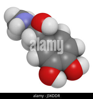 Adrenaline (epinephrine) hormone and neurotransmitter, molecular model. Atoms are represented as spheres with conventional color coding: hydrogen (whi Stock Photo