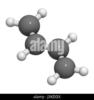 Butadiene (1,3-butadiene), the building block of ABS plastic and polybutadiene synthetic rubber. Atoms are represented as spheres with conventional co Stock Photo