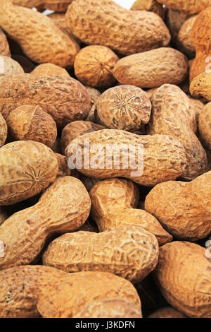 Groundnut peanut Stock Photo