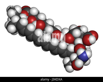 Amphotericin B antifungal drug molecule. Atoms are represented as spheres with conventional color coding: hydrogen (white), carbon (grey), oxygen (red Stock Photo